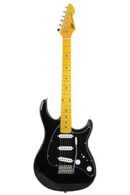 Peavey Raptor Custom Guitars Black